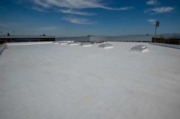 Reliable Albany, CA Roofing Services Solutions