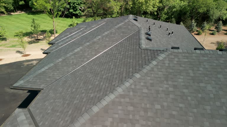 Best Roof Moss and Algae Removal  in Albany, CA