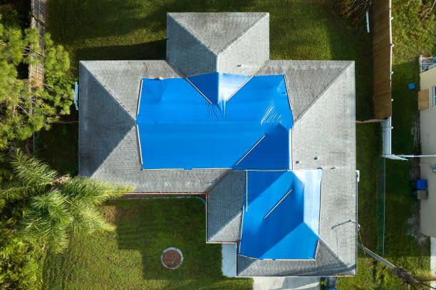 Best Roof Leak Repair  in Albany, CA