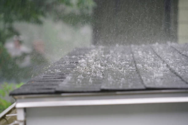 Best Solar Panel Roofing Installation  in Albany, CA