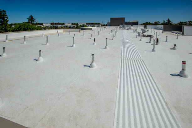 Best Roof Installation  in Albany, CA